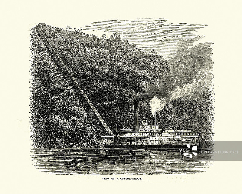 装载在明轮船上的棉花和棉花嫩枝图片素材