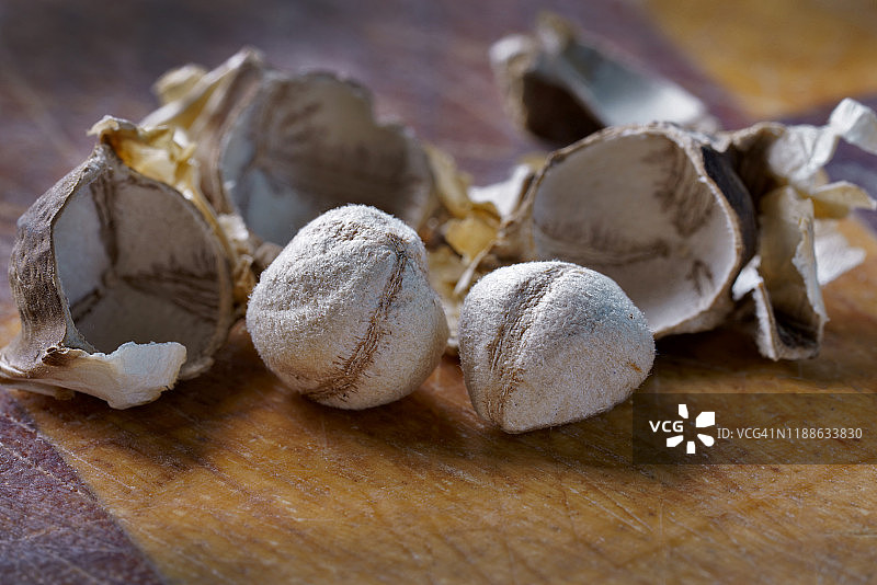 辣木籽特写图片素材