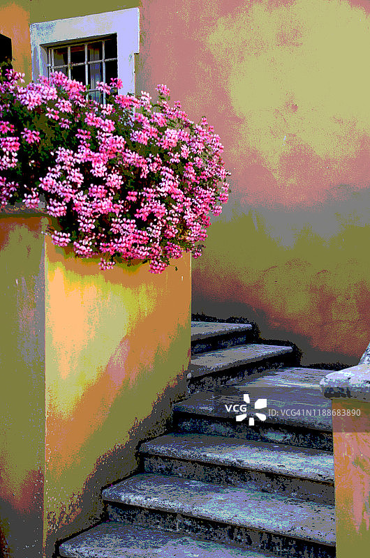 意大利蒙特里吉欧尼的家居花卉装饰图片素材