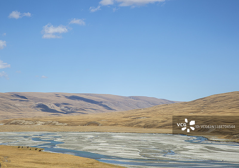 金色草原上野生马群的辫状河谷全景照片图片素材