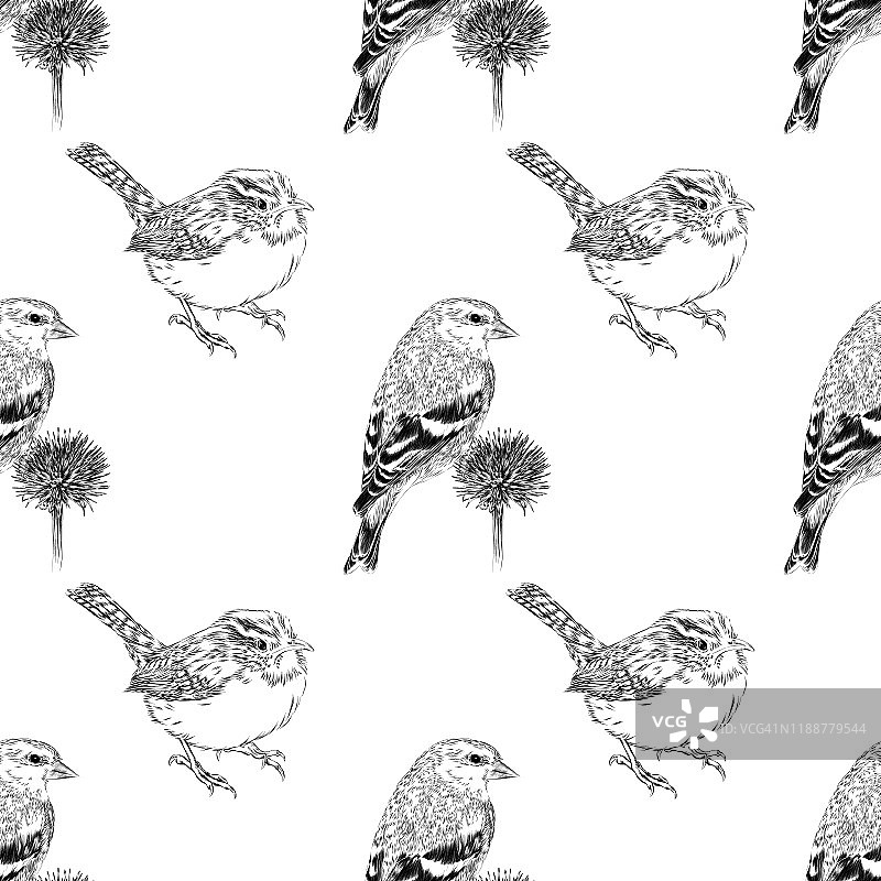 金翅雀和鹪鹩钢笔墨水矢量图无缝图案图片素材