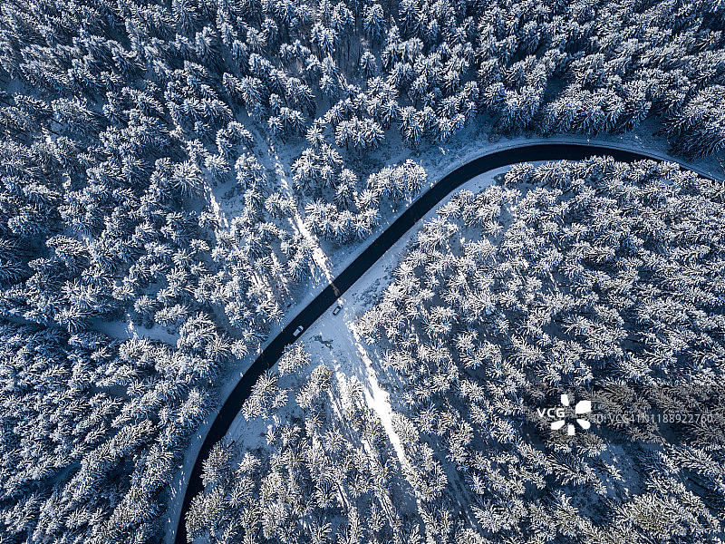 冬季森林中的弯曲道路鸟瞰图图片素材