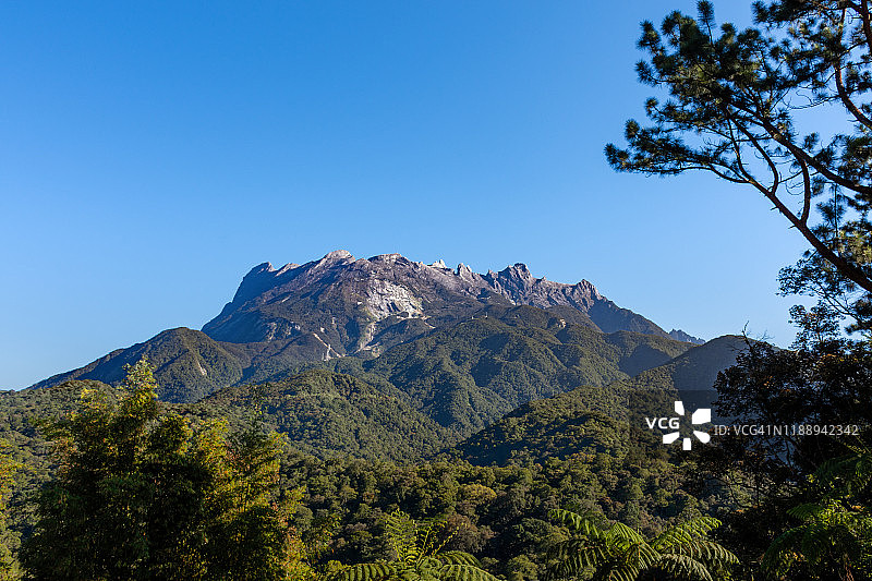 蓝天下的京那巴鲁山和森林景观图片素材