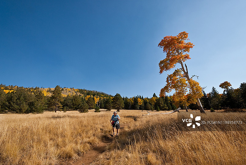 在亚利桑那步道上的徒步女性图片素材