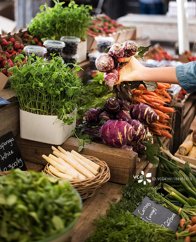 挑选新鲜的蔬菜图片素材