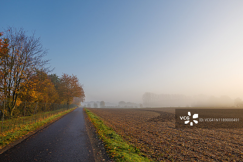 日出时分乡村田野旁的空旷道路的宁静雾景图片素材