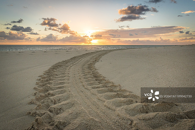 水下苍鹭岛图片素材