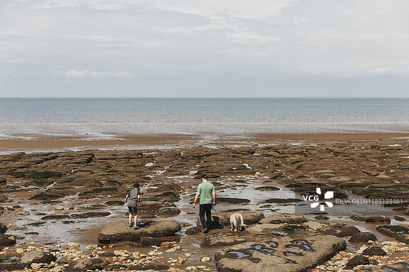 父亲、儿子和狗在岩石上走向大海图片素材