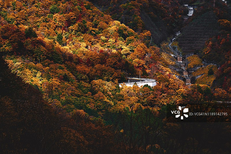 日本栃木县日光国家公园的秋日山景，色彩斑斓的树叶和蜿蜒的道路图片素材