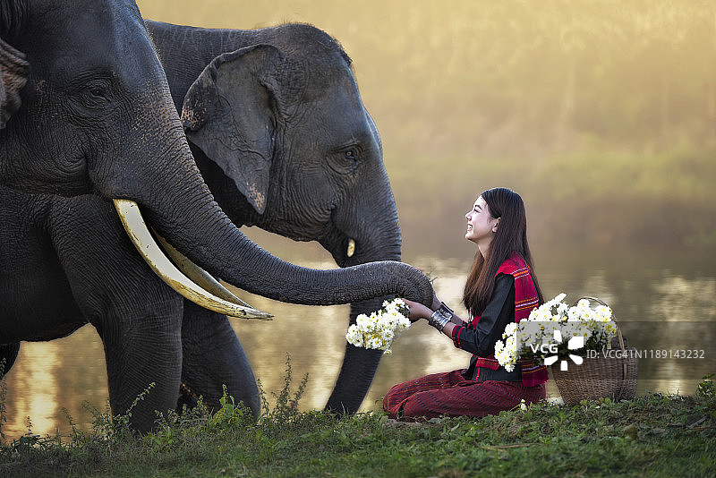 大象赠送白色鲜花图片素材