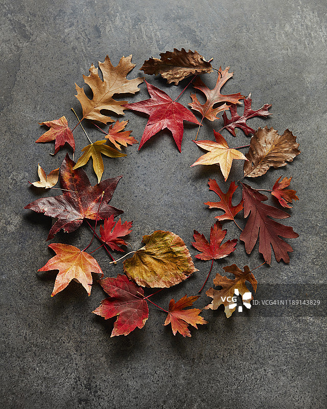 秋叶花环图片素材