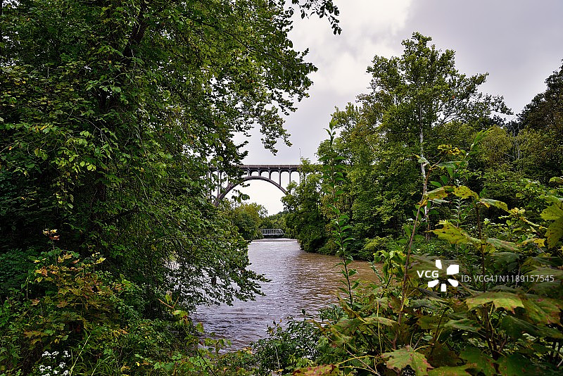 漫步森林，河畔遐思图片素材