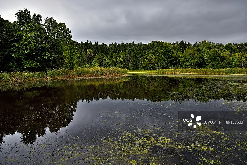 我为平静的水面和倒影歌唱图片素材