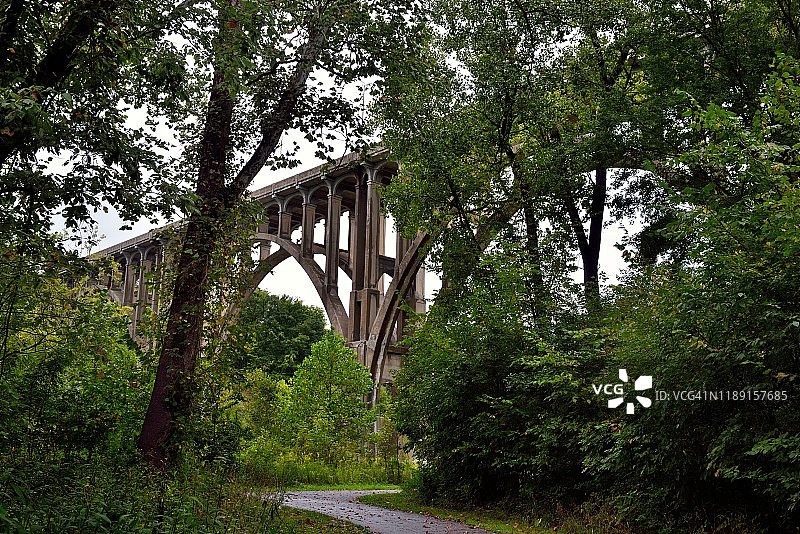 在树林里漫步，偶遇一座桥图片素材