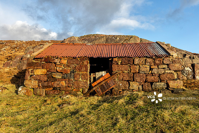 波林#5图片素材