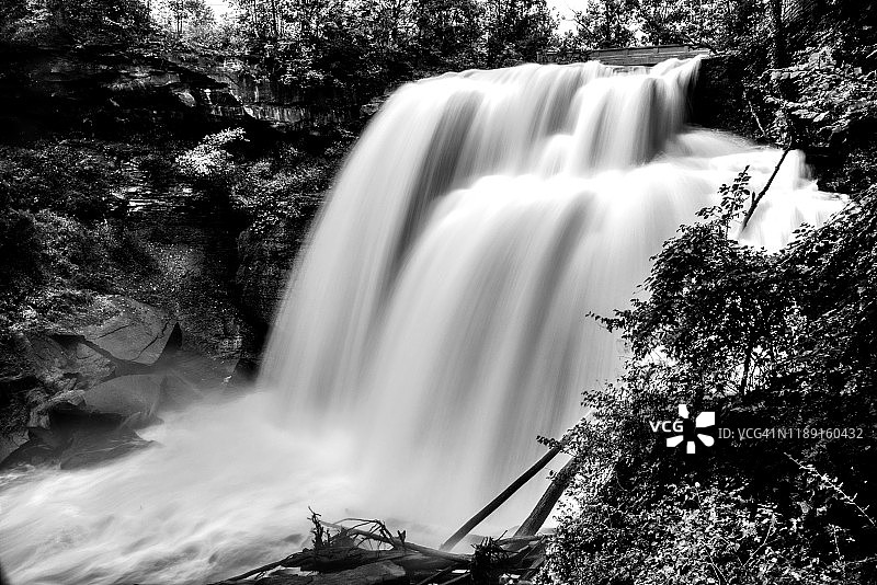 从宁静的睡眠中醒来，发现今天是个美好的日子！（黑白照片）图片素材