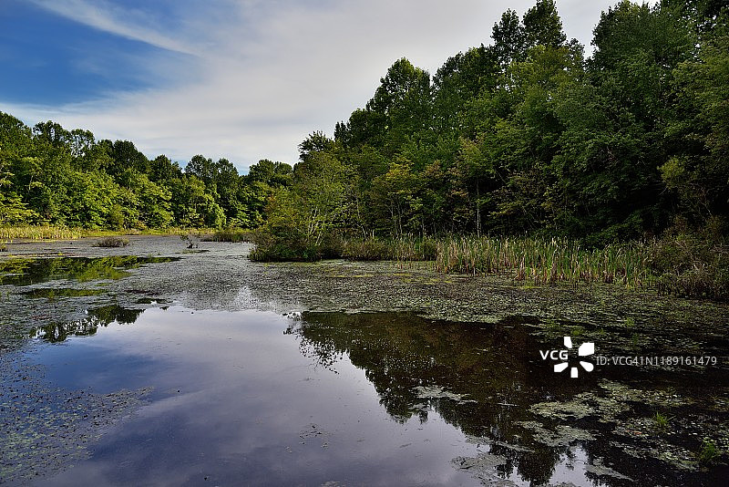 多年来所说或所做的事情图片素材