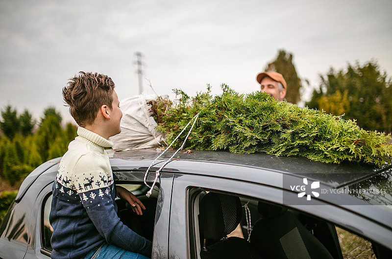 把圣诞树带回家图片素材