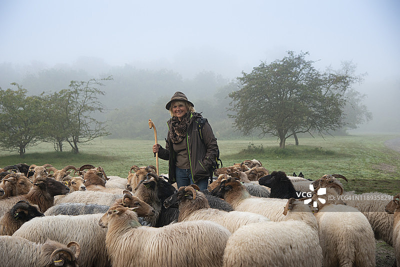 雾蒙蒙的日出时分，女牧羊人和羊群在树林里图片素材