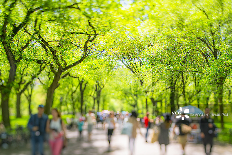 人们在纽约中央公园的林荫大道上行走图片素材