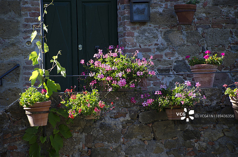 蒙蒂基耶洛家居花盆图片素材