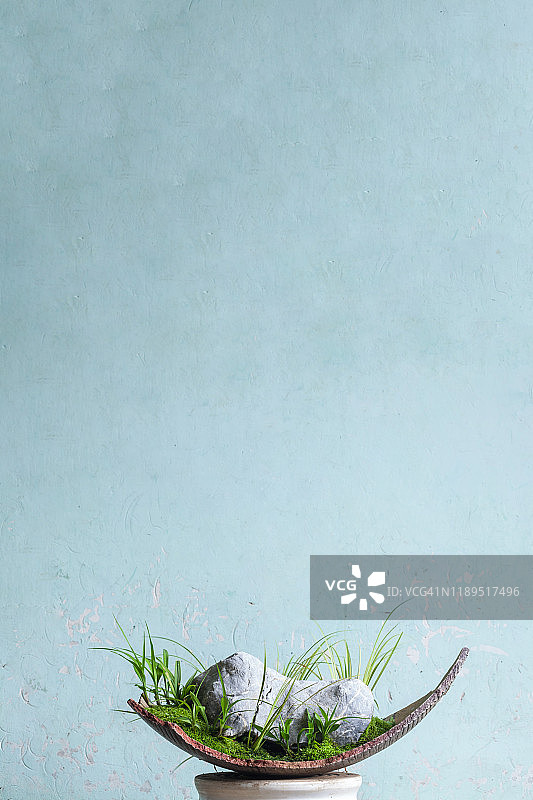 中国盆栽园艺图片素材