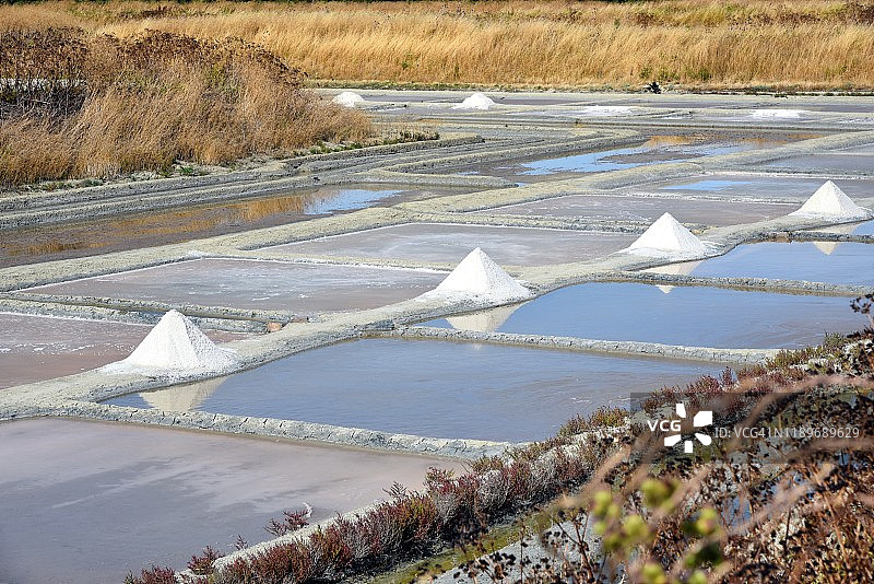 法国普瓦图-夏朗德盐沼图片素材