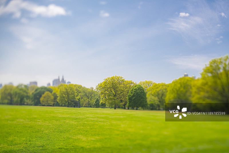 纽约中央公园大草坪周围的新鲜绿树排列。图片素材