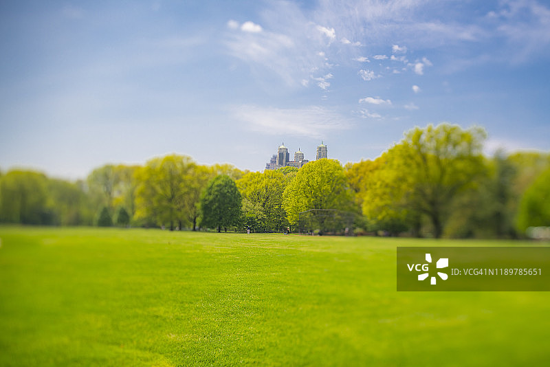 纽约中央公园大草坪周围的新鲜绿树排列。图片素材