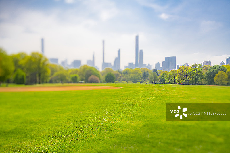 纽约中央公园大草坪，摩天大楼掩映在绿树后图片素材