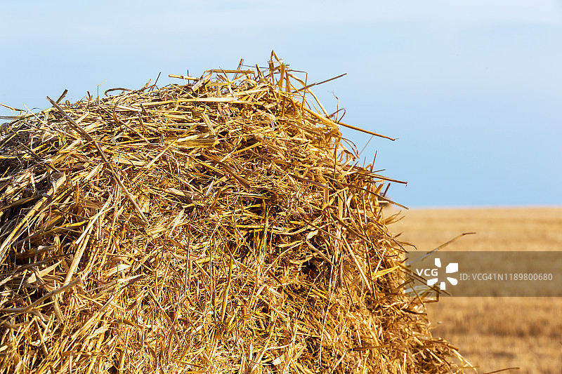 麦秸捆图片素材