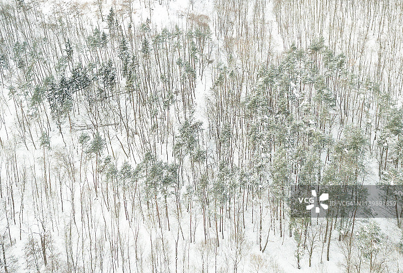 雪覆盖的树木和景观上的轨迹高角度视图图片素材