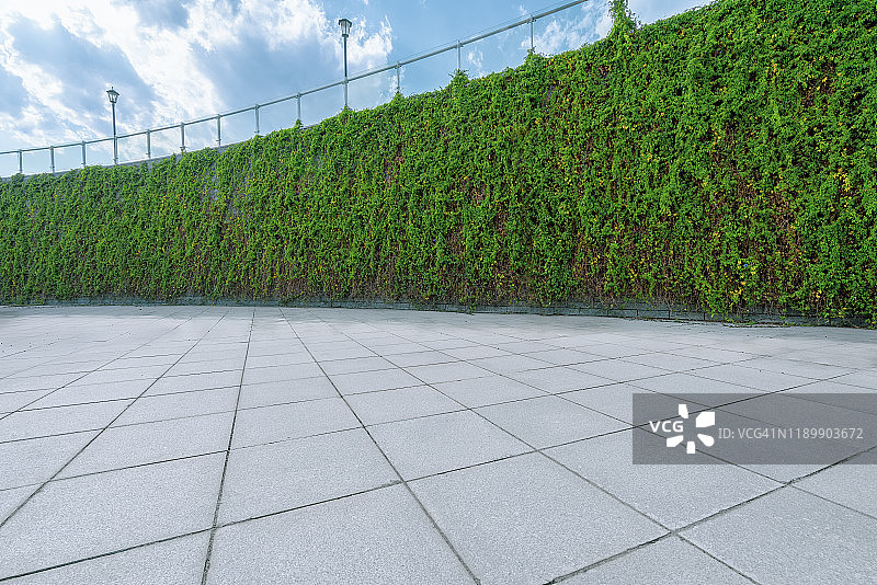 用植物装饰的墙壁图片素材