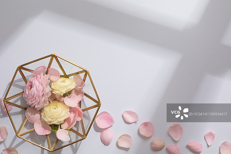 粉蓝色背景上的花卉构图，硬光和阴影的俯视图图片素材