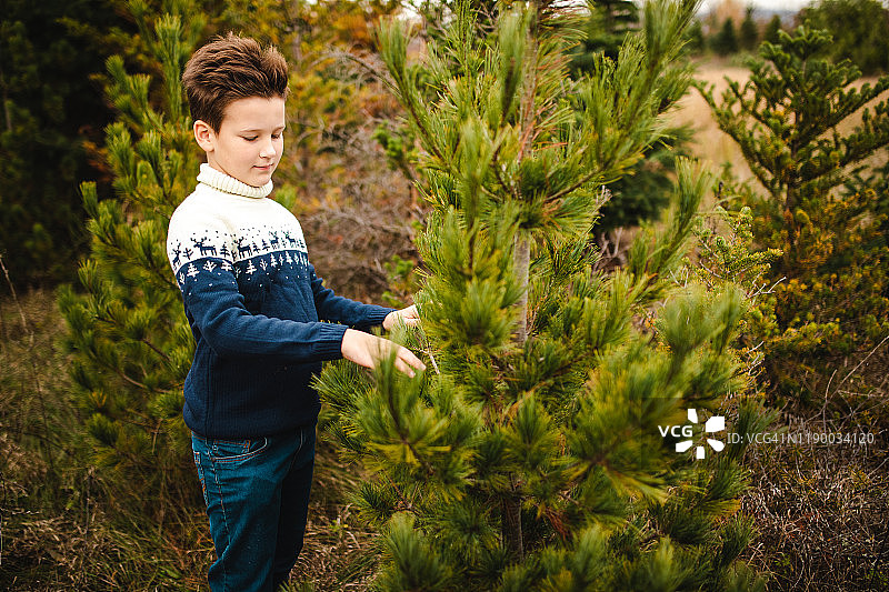 小男孩玩松针图片素材