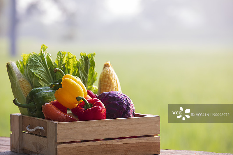 木板上的新鲜有机蔬菜图片素材