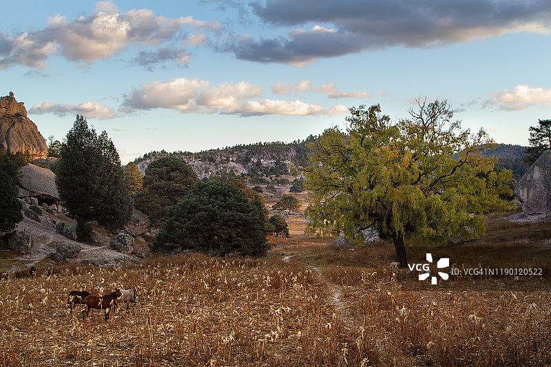 铜峡谷的乡村日落美景图片素材