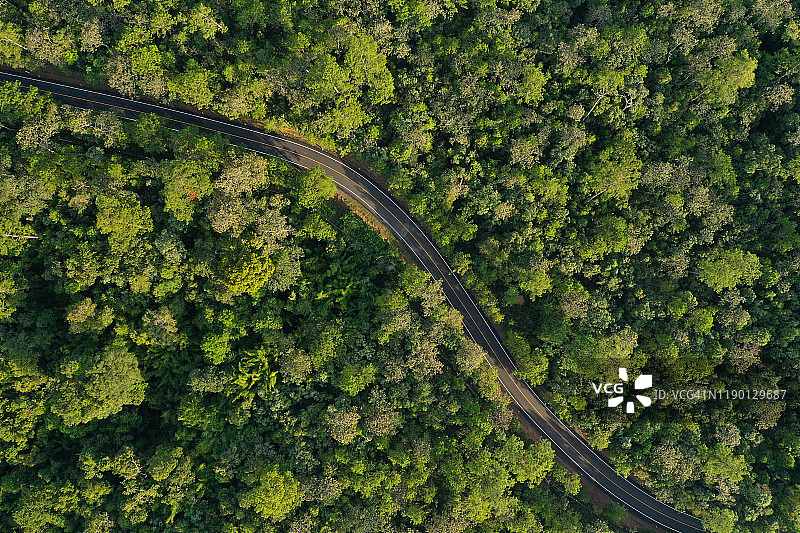 穿过森林的蜿蜒乡村公路航拍图片素材