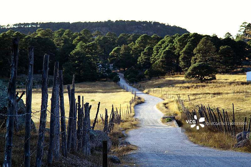 铜峡谷小径图片素材