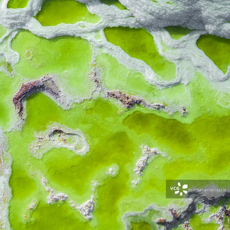 达洛尔，达纳基尔洼地，埃塞俄比亚图片素材