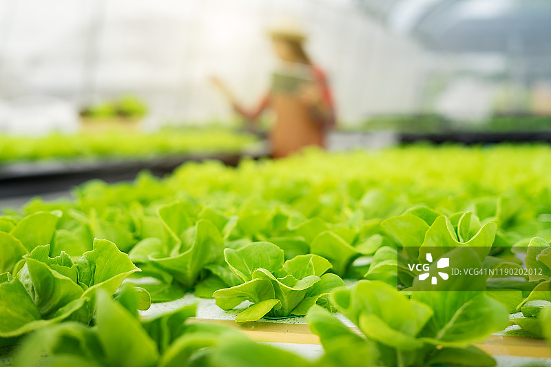 机械臂机器人与手持平板电脑的女人图片素材