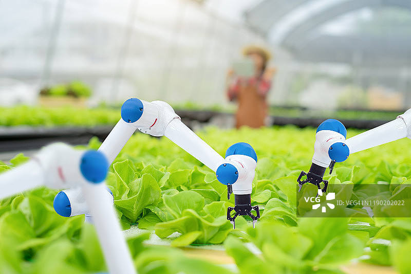 机械臂机器人与手持平板电脑的女人图片素材