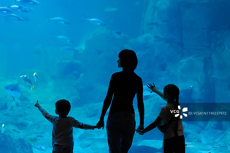 一家人近距离观看水族馆里的鱼图片素材