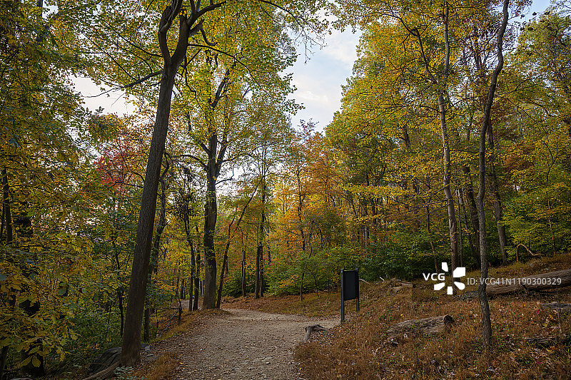 秋叶的颜色图片素材
