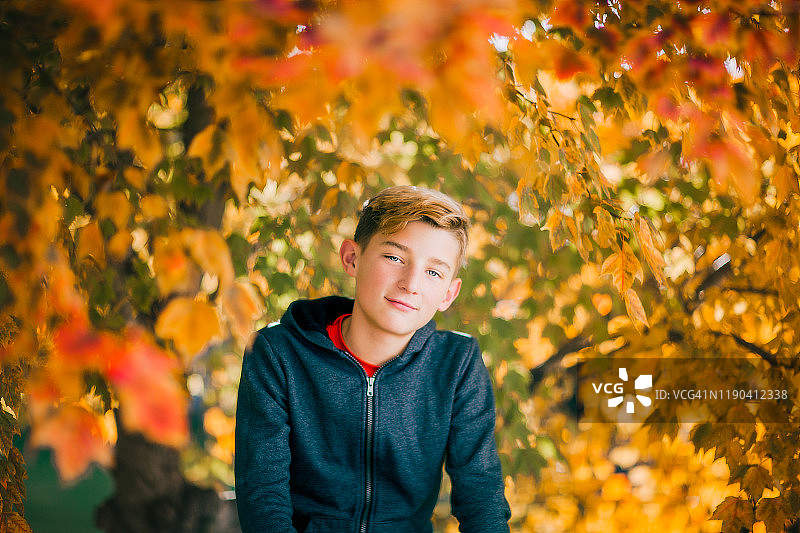 秋天，青少年男孩坐在枫树旁图片素材