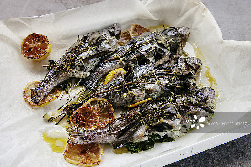 普通鮈鱼图片素材