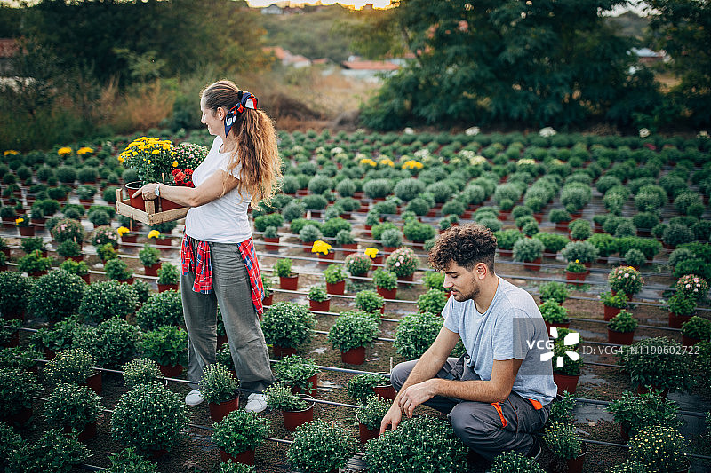 男人和女人在花卉农场图片素材