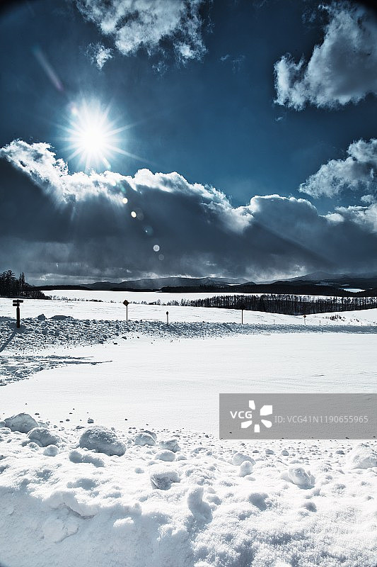 北海道美瑛的雪山和白桦树图片素材