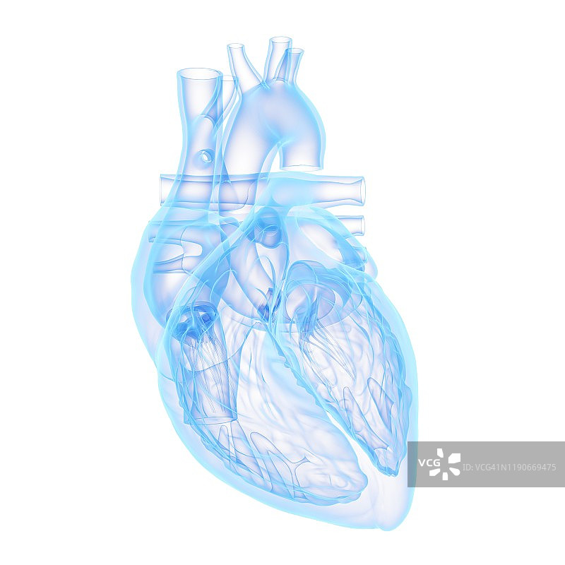 人类的心,说明图片素材