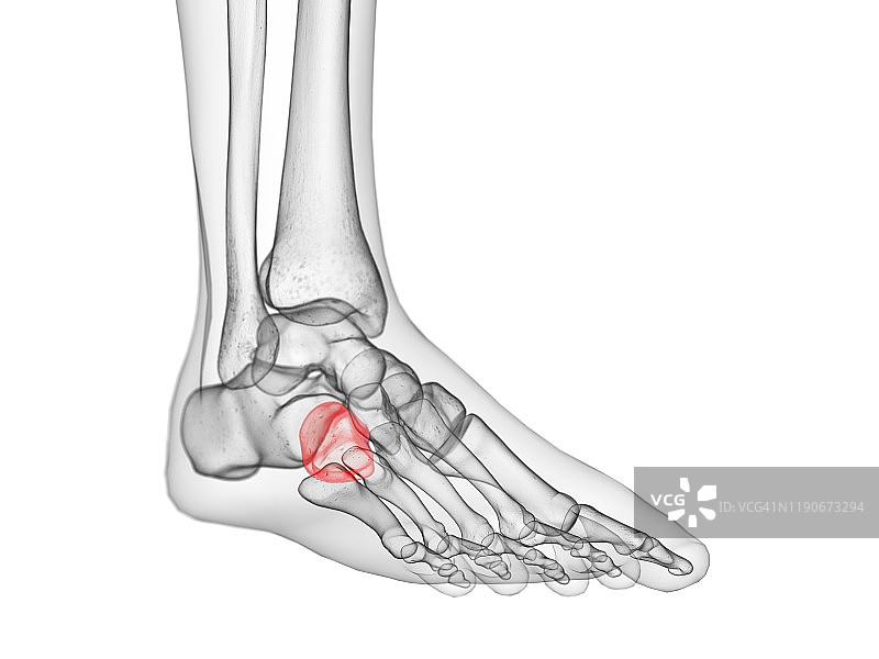 骰骨插图图片素材